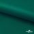 Ткань подкладочная Таффета, 19-5420, 53 г/м2, антистатик, шир. 150 см, вечнозеленый - купить в Новороссийске. Цена 57.16 руб.