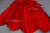 Декоративный Пучок из перьев, перо 23см/красный - купить в Новороссийске. Цена: 11.16 руб.