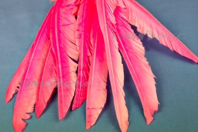 Декоративный Пучок из перьев, перо 25см/розовый - купить в Новороссийске. Цена: 14.40 руб.