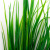 Трава искусственная -2, шт (осока 41см/8 см)				 - купить в Новороссийске. Цена: 104.57 руб.