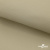 Ткань подкладочная TWILL 230T 14-1108, беж светлый 100% полиэстер,66 г/м2, шир.150 cм - купить в Новороссийске. Цена 90.59 руб.