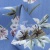 Плательная ткань "Фламенко" 12.1, 80 гр/м2, шир.150 см, принт растительный - купить в Новороссийске. Цена 241.49 руб.