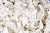 Тесьма плетеная "Рюш" с жемугом №2 (уп.13 м), цв.-молочный  - купить в Новороссийске. Цена: 46.82 руб.