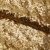 Сетка с пайетками №3, 188 гр/м2, шир.140см, цвет золотой - купить в Новороссийске. Цена 454.12 руб.