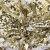 Трикотажное полотно, Сетка с пайетками, шир.130 см, #315, цв.-белый/золото - купить в Новороссийске. Цена 693.39 руб.