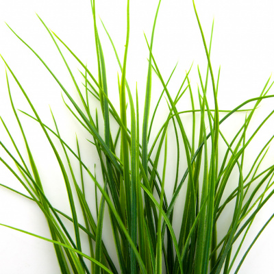 Трава искусственная -3, шт (осока 50 см/8 см  5 листов)				 - купить в Новороссийске. Цена: 124.17 руб.